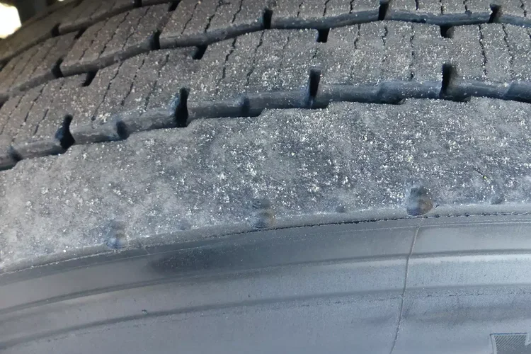 Scania P230 / KONTENER + WINDA / OPTICRUISE / zdjęcie 12