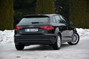 A3 Ledy Bi-Xenon Navi Klimatronic Parktronic Audi MMI Aso Audi Alu16 aso zdjęcie 15