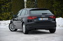 A3 Ledy Bi-Xenon Navi Klimatronic Parktronic Audi MMI Aso Audi Alu16 aso zdjęcie 7