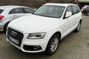 Audi Q5 2.0tdi quattro autoamy panorama full opcja full serwis 1.wl.1.rok.gwar zdjęcie 7