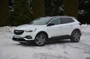 Opel Grandland X RadarACC Full Led Skóry Went Panorama NaviPro Kamera BLIS Aso Alu18" zdjęcie 3