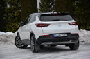 Opel Grandland X RadarACC Full Led Skóry Went Panorama NaviPro Kamera BLIS Aso Alu18" zdjęcie 6