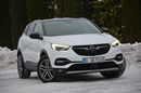 Opel Grandland X RadarACC Full Led Skóry Went Panorama NaviPro Kamera BLIS Aso Alu18" zdjęcie 7