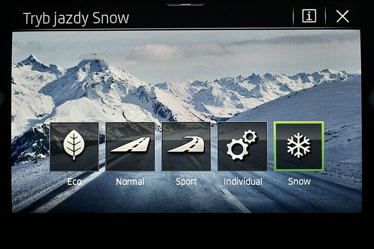 Skoda Kodiaq 4x4 2.0 TSI SKÓRA+Led MATRIX+ACC GWARANCJA 1wł Krajowy Bezwypadk FV23% 4x2 zdjęcie 31