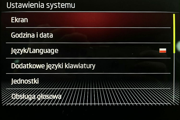 Skoda Kodiaq 4x4 2.0 TSI SKÓRA+Led MATRIX+ACC GWARANCJA 1wł Krajowy Bezwypadk FV23% 4x2 zdjęcie 45