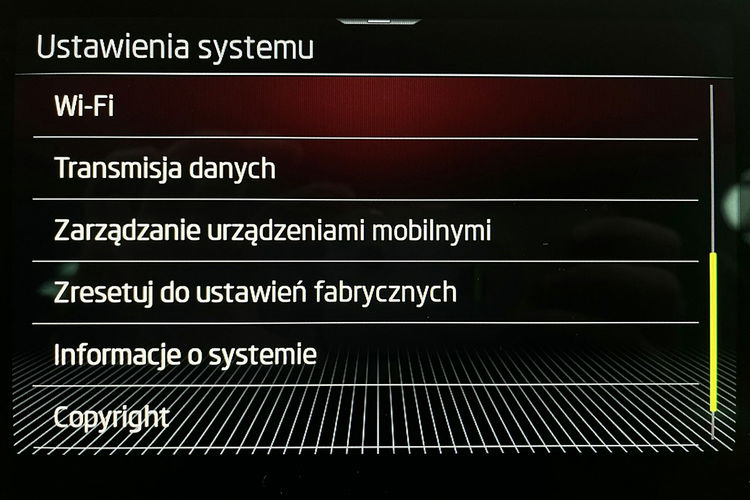 Skoda Kodiaq 4x4 2.0 TSI SKÓRA+Led MATRIX+ACC GWARANCJA 1wł Krajowy Bezwypadk FV23% 4x2 zdjęcie 46