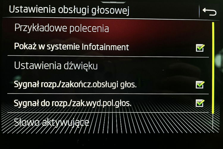 Skoda Kodiaq 4x4 2.0 TSI SKÓRA+Led MATRIX+ACC GWARANCJA 1wł Krajowy Bezwypadk FV23% 4x2 zdjęcie 47