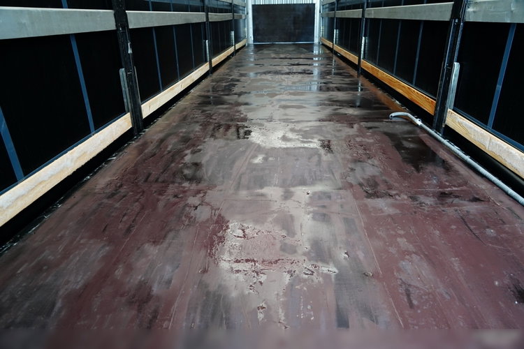 KAESSBOHRER FIRANKA / MEGA / DACH PODNOSZONY / LOW DECK / 2021 zdjęcie 19