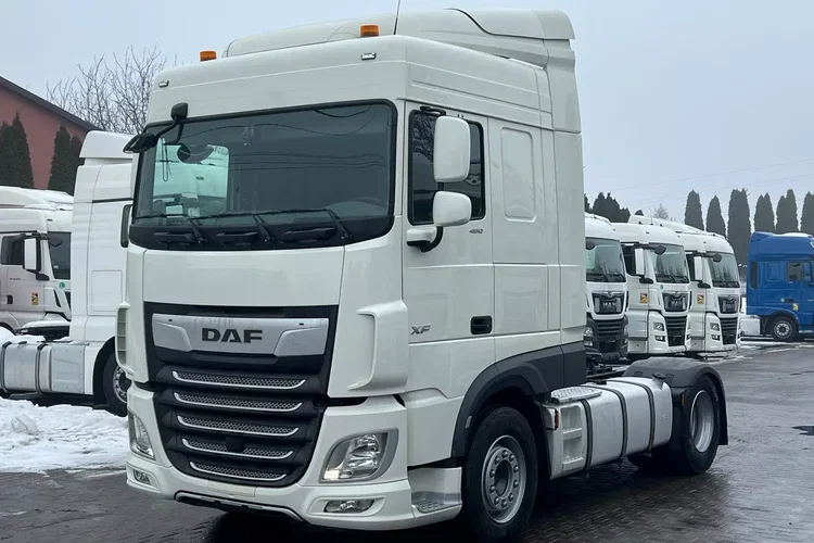 DAF XF 106.480 / SC / E6 / STANDARD / RETARDER / SPROWADZONY / DUŻY WYBÓR zdjęcie 1