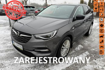 Opel Grandland X navi, automat, klimatronic, zarejestrowany