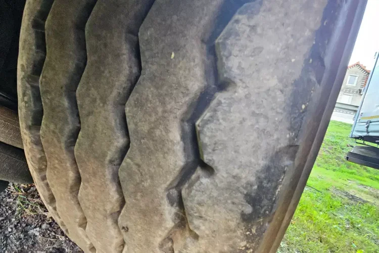 BENALU 50M zdjęcie 10