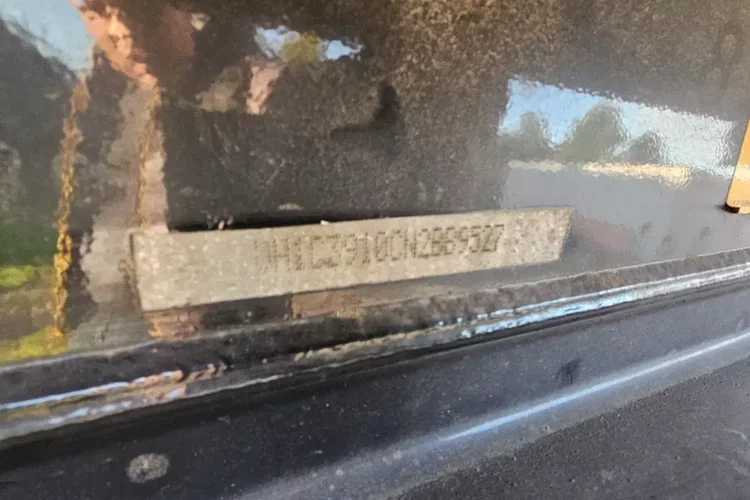 BENALU 50M zdjęcie 16