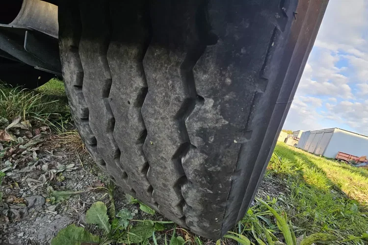 BENALU 50M zdjęcie 34