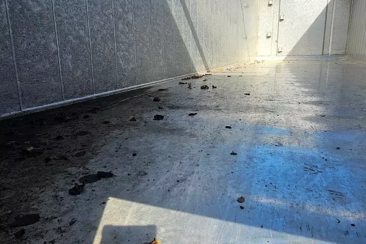 CARNEHL CHKS/A 52M zdjęcie 18