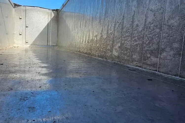 CARNEHL CHKS/A 52M zdjęcie 19