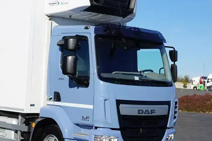 DAF LF / 260 / ACC / EURO 6 / CHŁODNIA + WINDA / MULTITEMPERATURA / 18 PALET zdjęcie 25