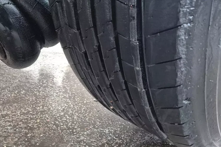 Krone Podkontenerowa zdjęcie 25