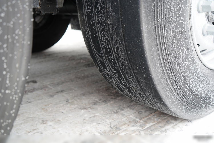 Schmitz / FIRANKA / WINDA ZAŁADOWCZA DHOLLANDIA -2000 KG / 2 OSIE PODNOSZONE / zdjęcie 22