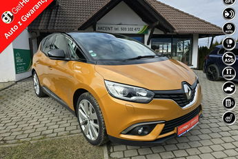 Renault Scenic Bezwypadkowy, .