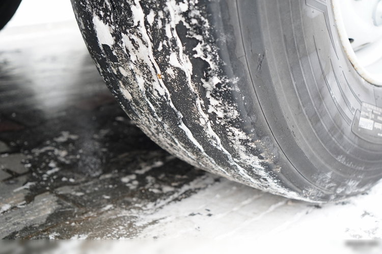 Schmitz -CARGOBULL / FIRANKA / STANDARD /  zdjęcie 24