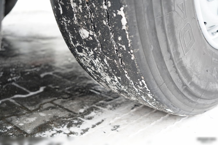 Schmitz -CARGOBULL / FIRANKA / STANDARD /  zdjęcie 25