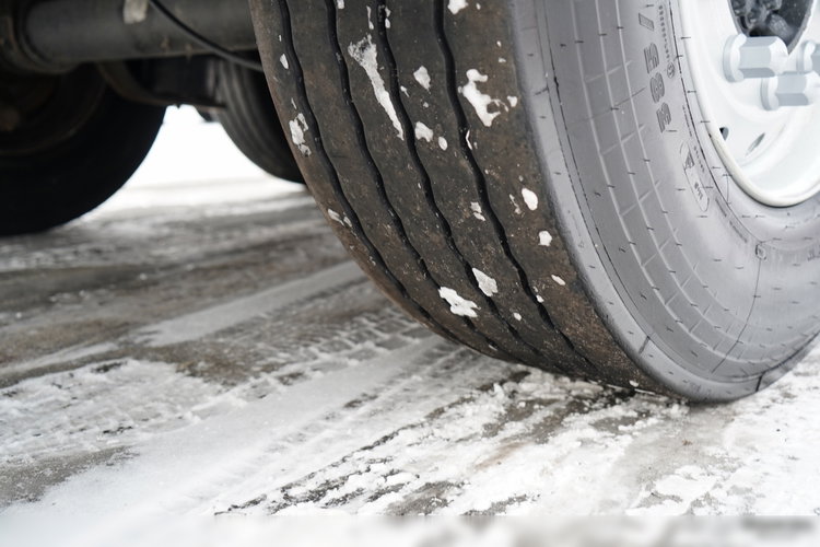 Schmitz -CARGOBULL / FIRANKA / STANDARD / zdjęcie 24