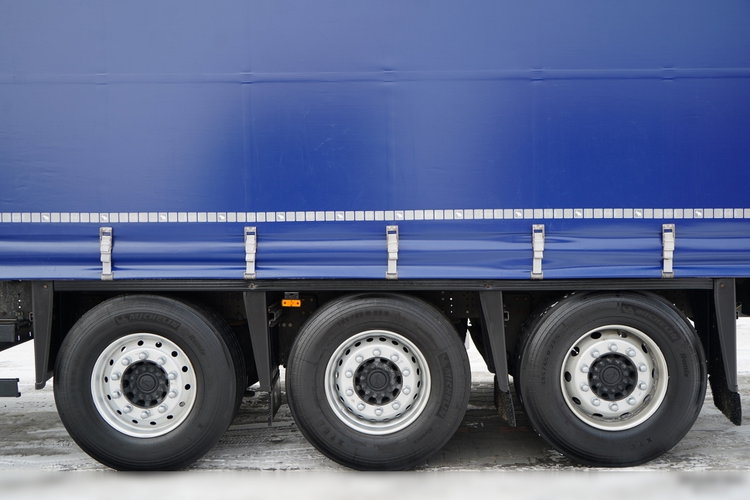 Schmitz -CARGOBULL / FIRANKA / STANDARD / zdjęcie 27