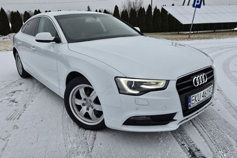 Audi A5 2.0tdi Serwis Navigacja.Skóry.Tempomat.Xenony.Ledy.Alu.
