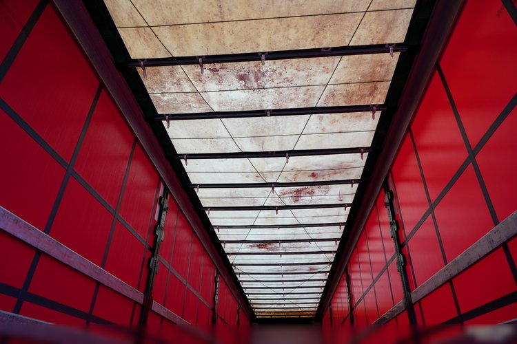 Wielton / FIRANKA STANDARD / MULDA DO STALI - 9 M / OŚ PODNOSZONA / SAF /  zdjęcie 18