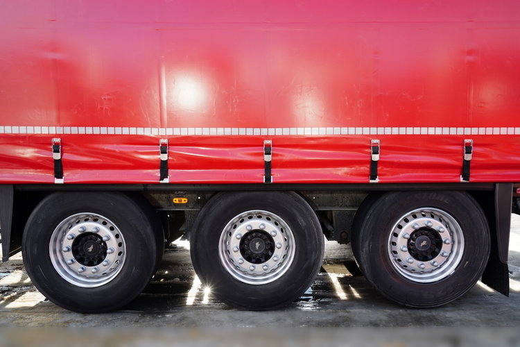 Schmitz -CARGOBULL / FIRANKA / STANDARD /  zdjęcie 25