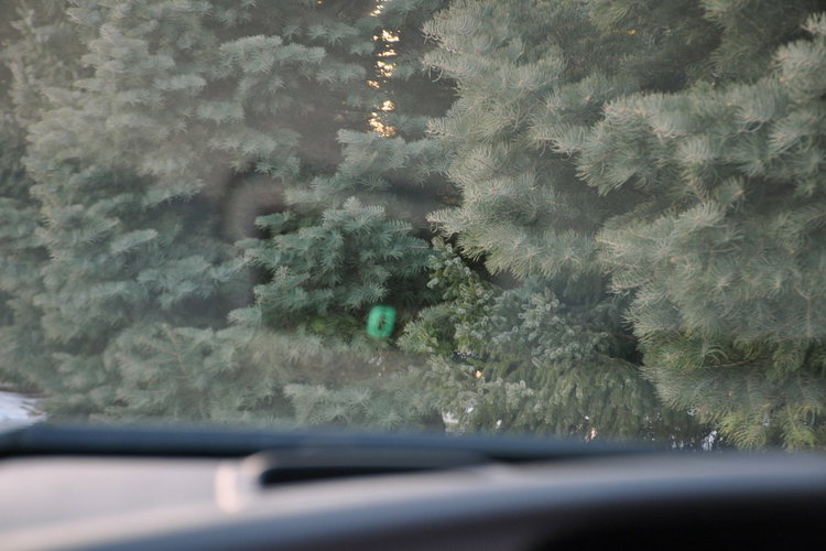 Toyota Prius 1.8i(136KM) Hybrid 127tyś.km Xenon Navi Kamera Skóry Head Up Alu17" zdjęcie 34