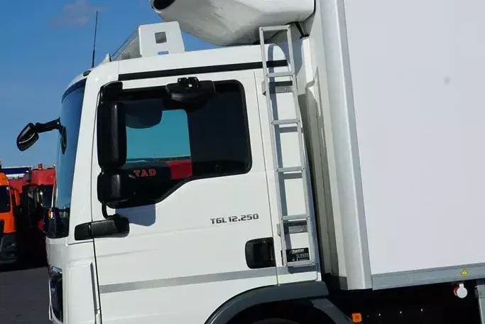 MAN TGL / 12.250 / ACC / EURO 6 / CHŁODNIA / 2 KOMOROWA zdjęcie 33