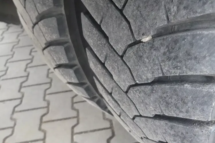 Iveco TRAKKER 310 / HDS FASSI F100 + SKRZYNIA 6.20 / MANUAL / zdjęcie 21