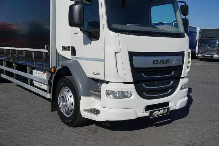 DAF LF / 290 / E 6 / FIRANKA + WINDA / ŁAD. 9 970 KG / 19 PALET zdjęcie 20