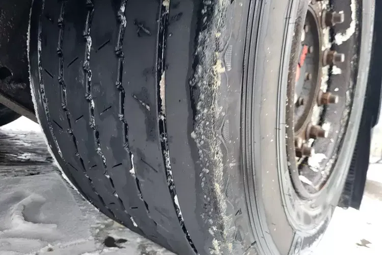 Schwarzmuller S1 J-SERIE zdjęcie 10