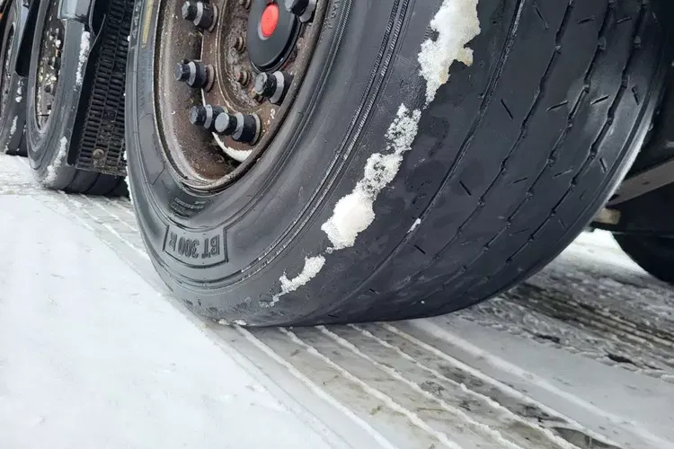 Schwarzmuller S1 J-SERIE zdjęcie 5