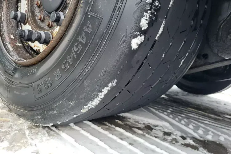 Schwarzmuller S1 J-SERIE zdjęcie 7