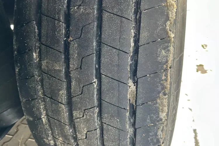 Schmitz Cargobull - zdjęcie 12