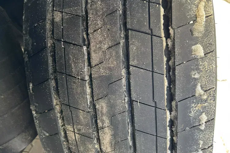 Schmitz Cargobull - zdjęcie 13