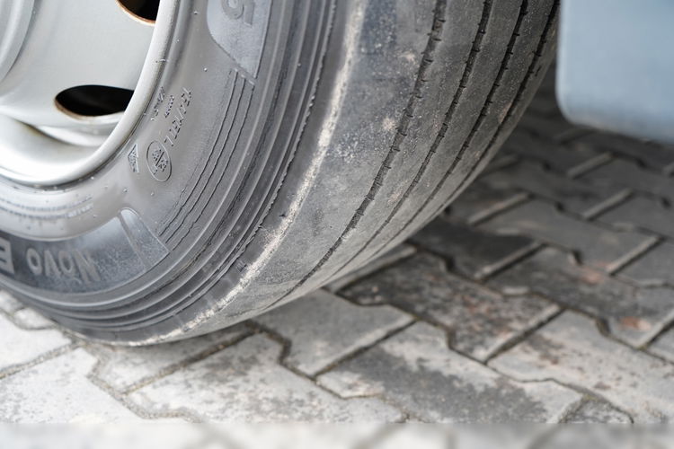 MAN TGM 12.290 / 4x2 / CHŁODNIA 7.8 M / AGREGAT THERMO KING T-1200 R / WINDA ZAŁADOWCZA / MUTLITEMPERATURA / DHOLLANDIA zdjęcie 17