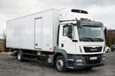 MAN TGM 12.290 / 4x2 / CHŁODNIA 7.8 M / AGREGAT THERMO KING T-1200 R / WINDA ZAŁADOWCZA / MUTLITEMPERATURA / DHOLLANDIA zdjęcie 1