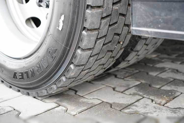 MAN TGM 12.290 / 4x2 / CHŁODNIA 7.8 M / AGREGAT THERMO KING T-1200 R / WINDA ZAŁADOWCZA / MUTLITEMPERATURA / DHOLLANDIA zdjęcie 19