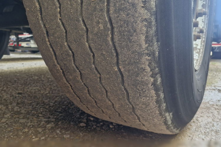 SCHMITZ CARGOBULL / CHŁODNIA / THERMO KING SL-400e / OŚ PODNOSZONA / KOSZ NA PALETY zdjęcie 21