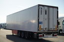 SCHMITZ CARGOBULL / CHŁODNIA / THERMO KING SL-400e / OŚ PODNOSZONA / KOSZ NA PALETY zdjęcie 6