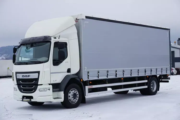 DAF / LF / 290 / E 6 / FIRANKA + WINDA / ŁAD. 9 970 KG / 19 PALET zdjęcie 1