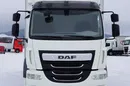 DAF / LF / 290 / E 6 / FIRANKA + WINDA / ŁAD. 9 970 KG / 19 PALET zdjęcie 14