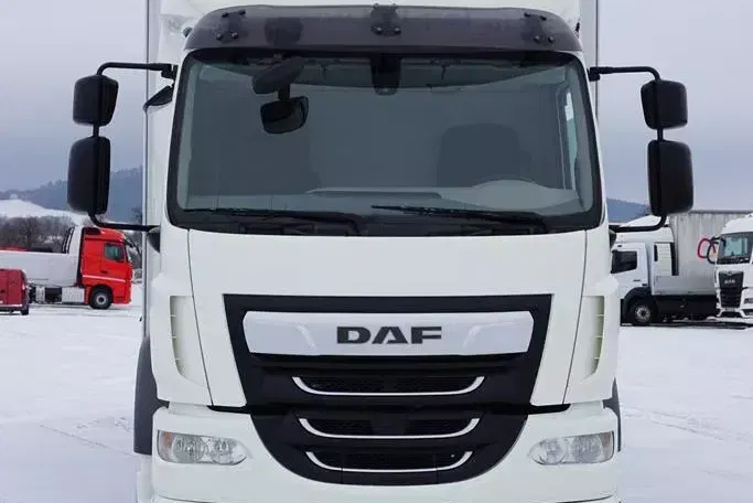 DAF / LF / 290 / E 6 / FIRANKA + WINDA / ŁAD. 9 970 KG / 19 PALET zdjęcie 14