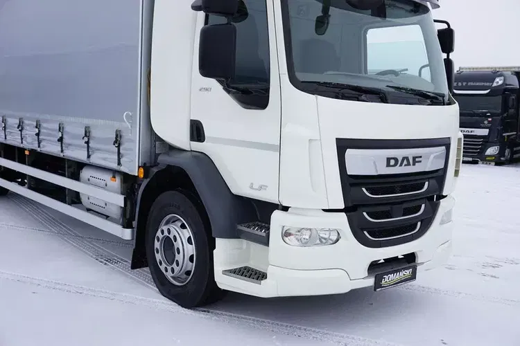 DAF / LF / 290 / E 6 / FIRANKA + WINDA / ŁAD. 9 970 KG / 19 PALET zdjęcie 20