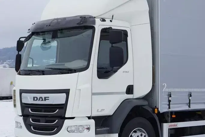 DAF / LF / 290 / E 6 / FIRANKA + WINDA / ŁAD. 9 970 KG / 19 PALET zdjęcie 21