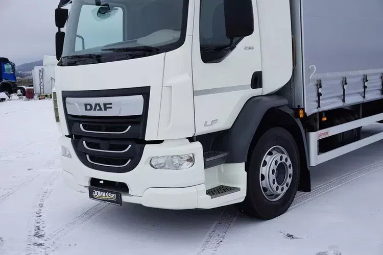 DAF / LF / 290 / E 6 / FIRANKA + WINDA / ŁAD. 9 970 KG / 19 PALET zdjęcie 23